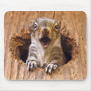 Search for shocking mousepads Shocked
