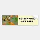 Search for white tigers bumper stickers Nature