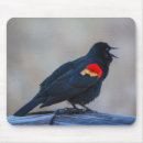 Search for deck mousepads Outdoors