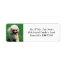 Search for white poodle return address labels Puppy