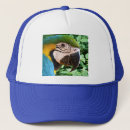 Search for macaws hats Bird