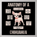 Search for funny chihuahua posters Doggie lover