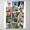 Recherche de animal kids posters Pour tous