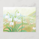 Search for snowflake horizontal postcards Green