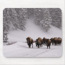 Search for small group of animals mousepads Colour image