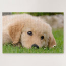 Recherche de coquelicots puzzles Pour elle
