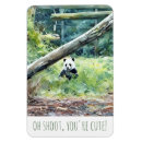 Search for giant rectangular magnets Panda
