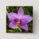 Recherche de orchidée badges Nature