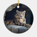 Search for snow leopard ornaments Wildlife