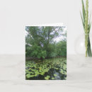 Search for lakes note cards Trees