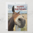 Recherche de mule vœux cartes Animal