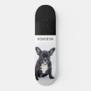 Recherche de bulldog skateboards Chien