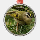 Recherche de de remous ornements Oiseau
