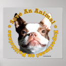 Search for save animals posters Pets