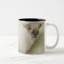 Recherche de agneau tasses Animal