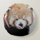 Search for red panda pillows Nature