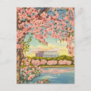 Search for cherry postcards Vintage