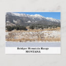 Search for on the range postcards Animals
