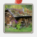 Search for denali national park ornaments Usa