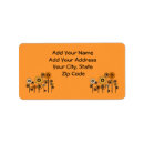 Search for orange daisy labels Flowers