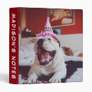 Search for your image binders Animal