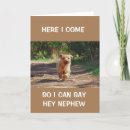 Search for dog sayings cards For him