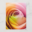 Search for affection vertical cards Celebrate