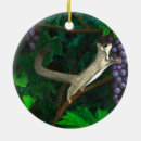 Search for sugar glider ornaments Australian