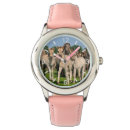 Recherche de poulain accessoires Chevaux