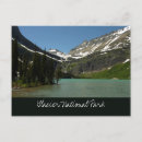 Search for tree photo postcards Lake