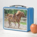 Search for filly kitchen dining Horses