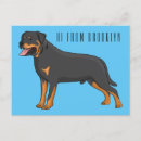 Recherche de chiots rottweiler cartes postales Chien de rottweiler