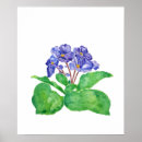 Search for african violets posters Watercolor