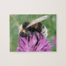 Search for bumblebee puzzles Photography