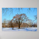 Search for winter trees posters Birds
