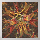 Recherche de octopus posters Coloré