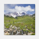 Search for environment magnets Scenic