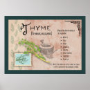 Search for cooking herbs posters Food