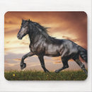 Recherche de cheval noir tapis souris Chevaux