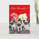 Search for frohe cards German