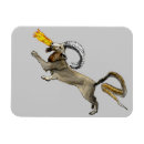Search for mythological creatures magnets Fantasy