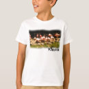 Recherche de flamingos tshirts Flamant