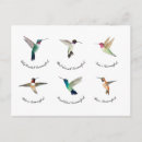 Recherche de de colibri cartes postales Nature