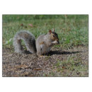 Search for snacking photography Nature