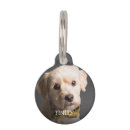 Search for photo pet tags Create your own
