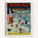 Search for bailey rules History