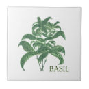 Recherche de basilic Cuisine