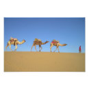 Recherche de de chameau posters Pour tous