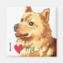 Search for spitz magnets Cute