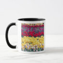 Search for tulip fields mugs Washington state